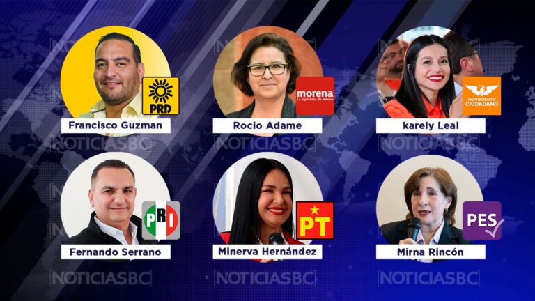 mini-candidatos