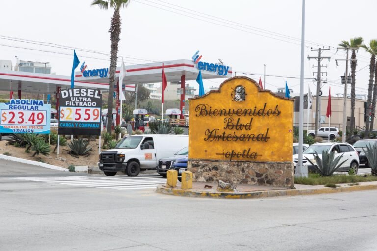 WhatsApp Image 2025-03-26 at 17.42.00