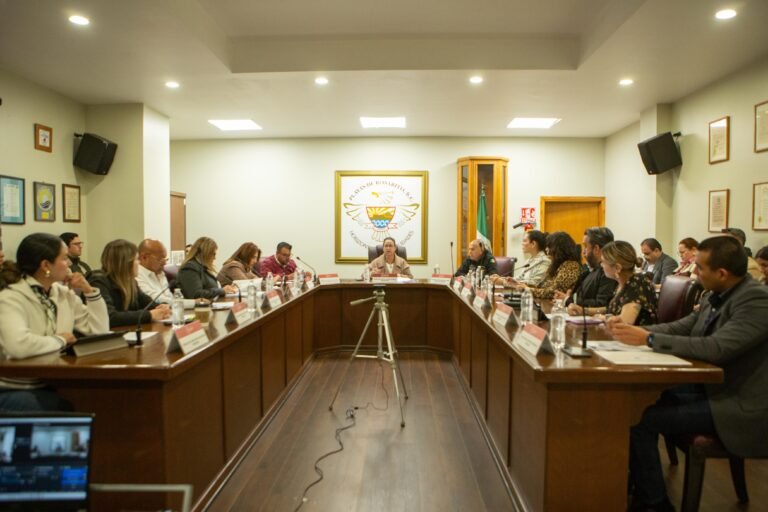 WhatsApp Image 2025-04-01 at 19.23.11