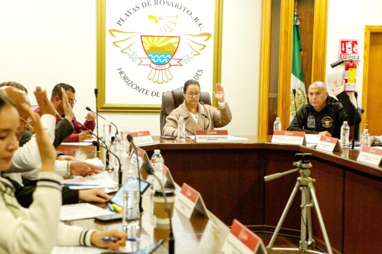 WhatsApp Image 2025-04-02 at 16.58.53