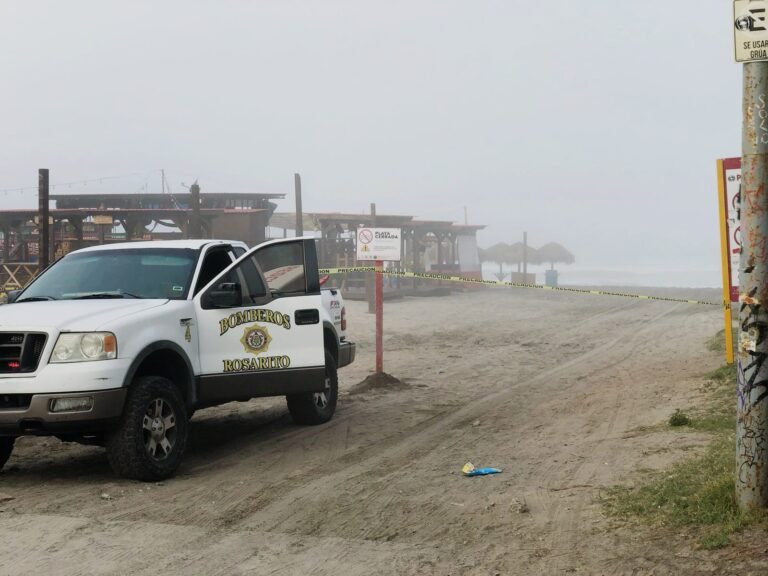 WhatsApp Image 2025-04-09 at 15.31.48