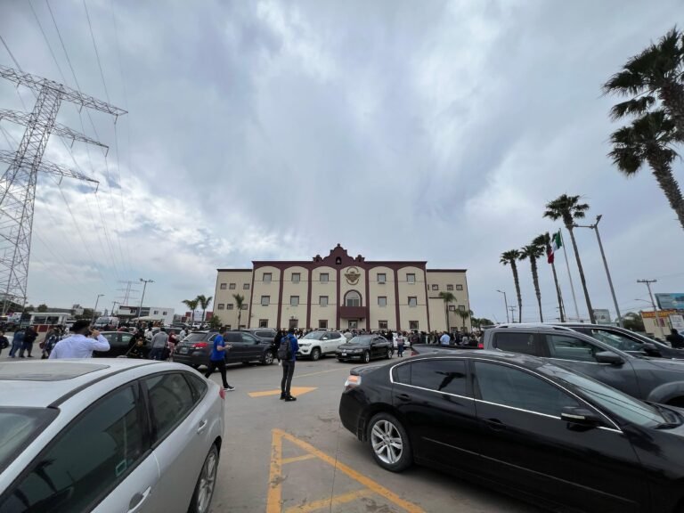 WhatsApp Image 2025-04-14 at 13.09.19