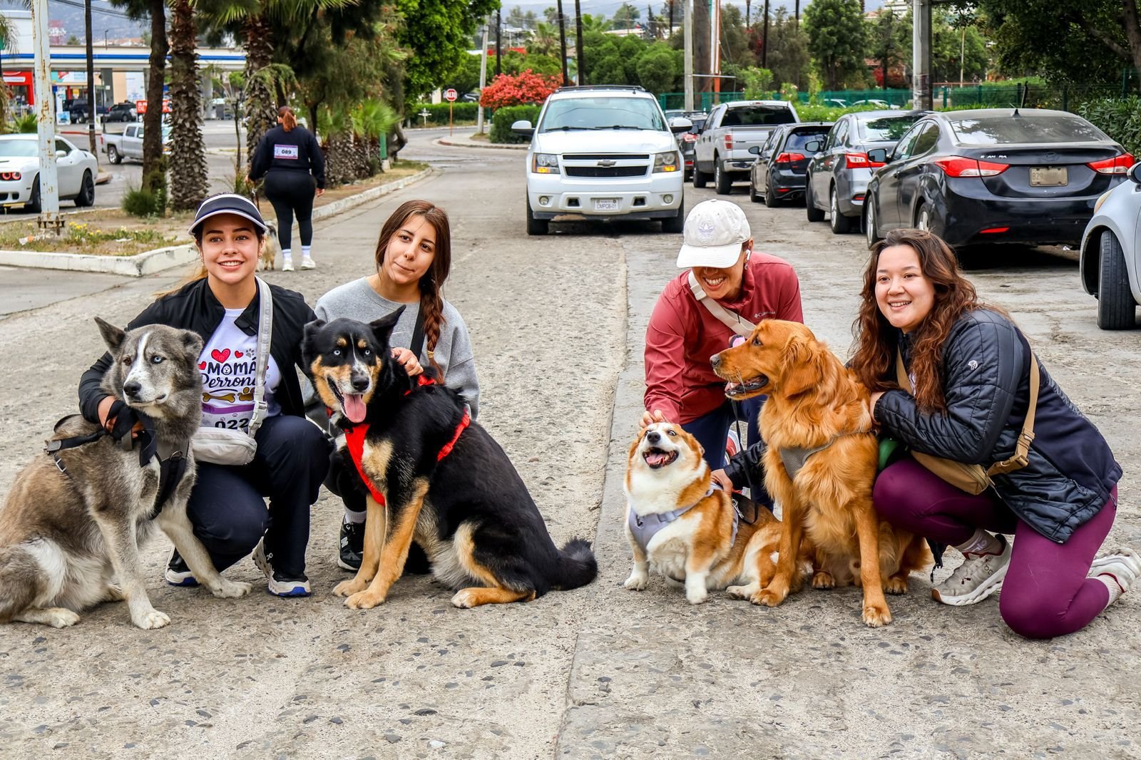 WhatsApp Image 2025-05-18 at 18.45.26