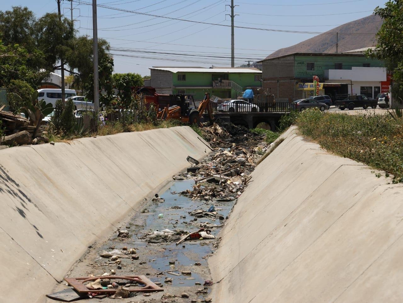 WhatsApp Image 2025-05-20 at 19.19.47