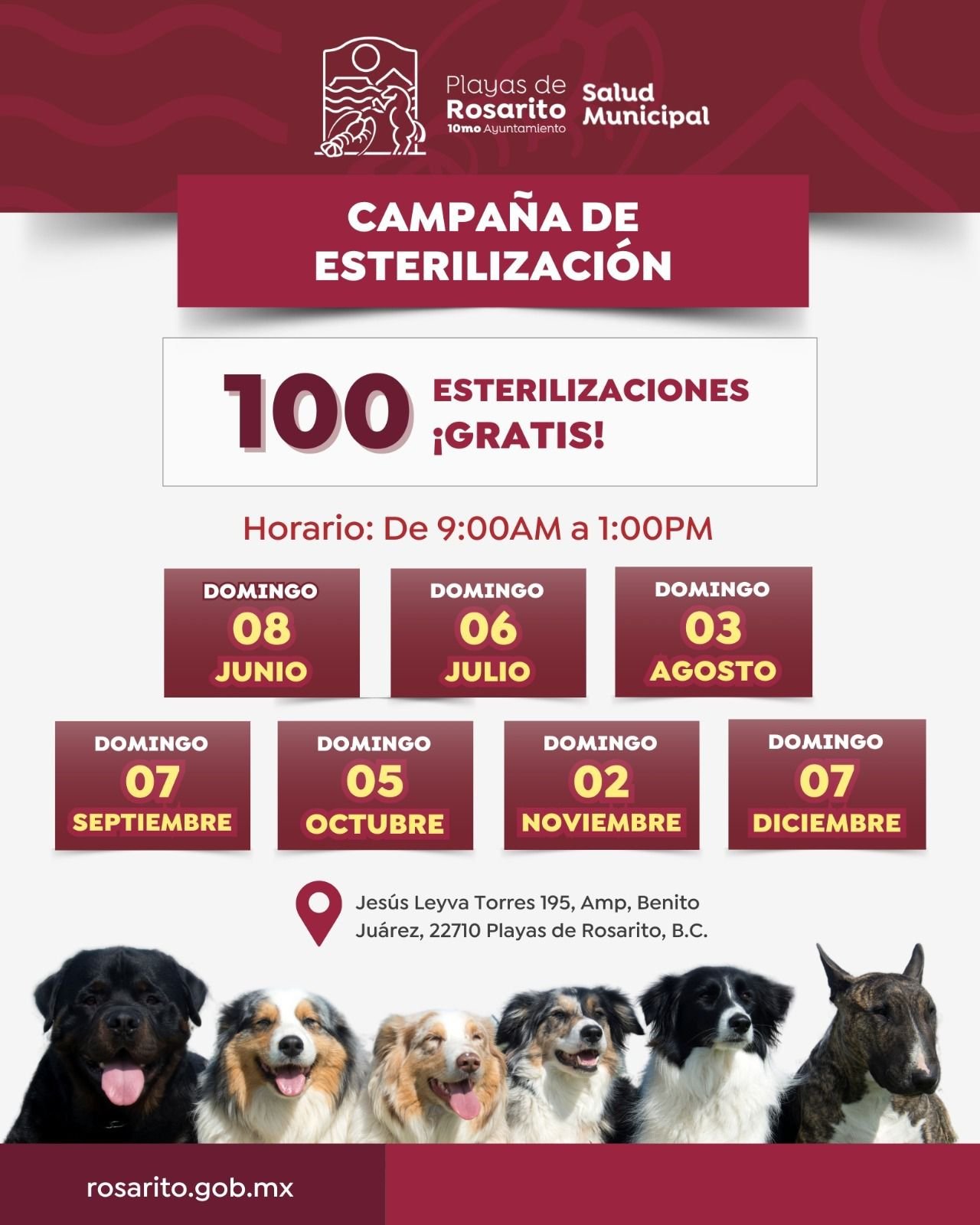 WhatsApp Image 2025-05-29 at 09.02.37