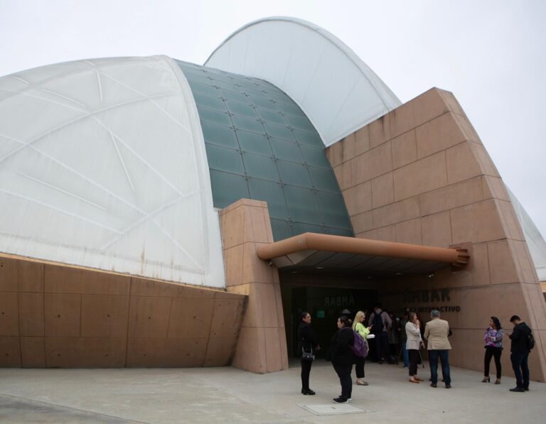 WhatsApp Image 2025-06-03 at 14.21.47 (1)