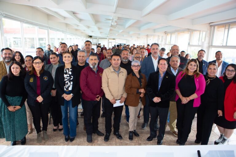 WhatsApp Image 2025-06-05 at 13.17.21