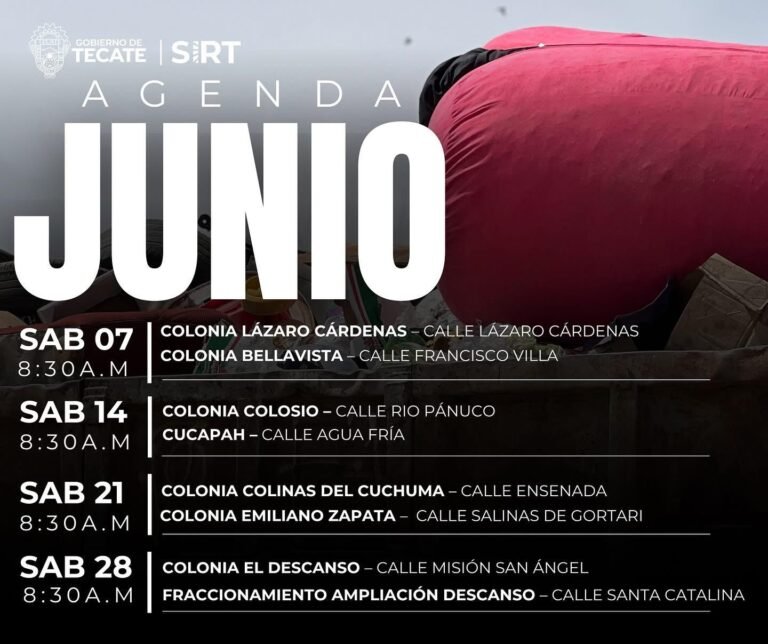 WhatsApp Image 2025-06-05 at 18.50.25