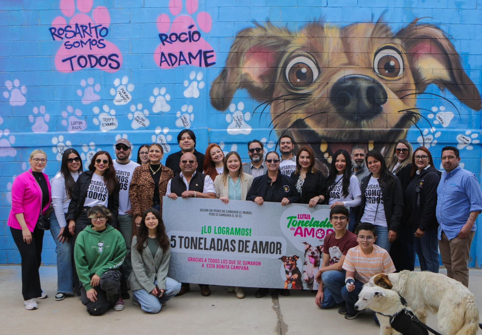 WhatsApp Image 2025-06-10 at 15.33.31