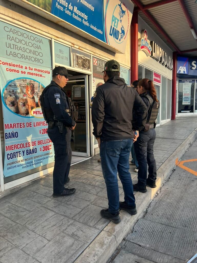 WhatsApp Image 2025-06-12 at 09.30.55 (1)