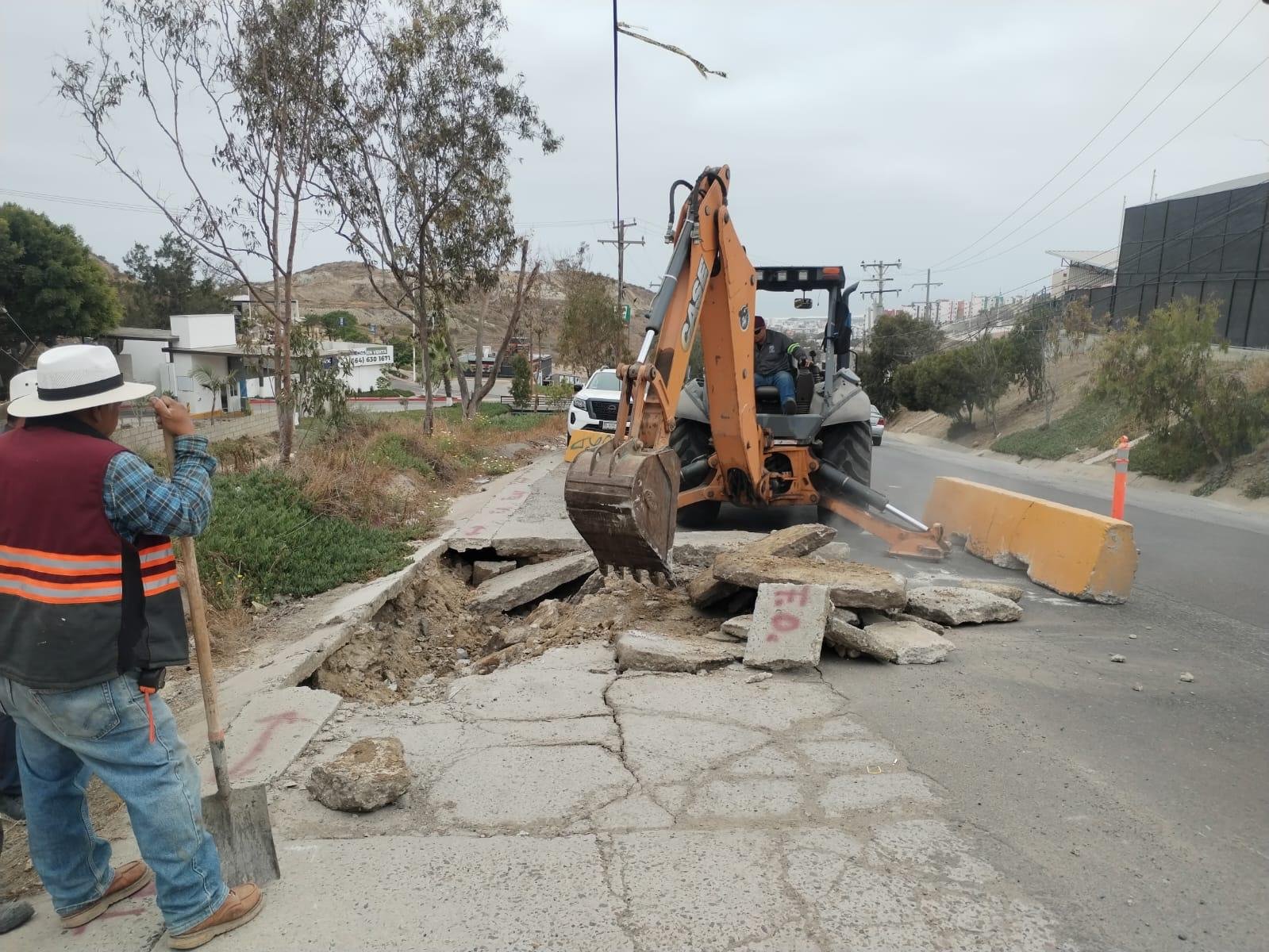 WhatsApp Image 2025-06-24 at 16.46.15