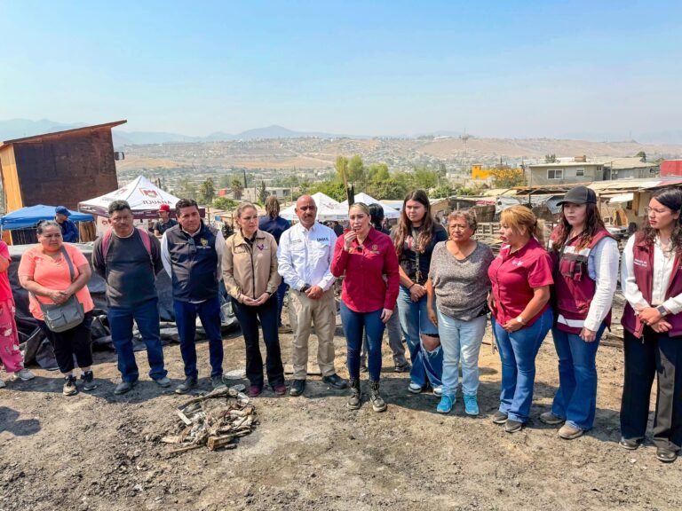 WhatsApp Image 2025-07-14 at 15.47.00 (1)