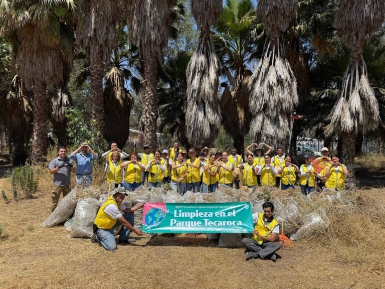 WhatsApp Image 2025-09-02 at 13.45.59 (1)