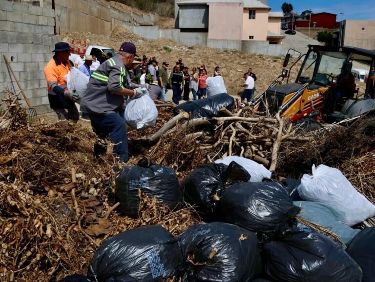 WhatsApp Image 2025-09-02 at 14.17.02