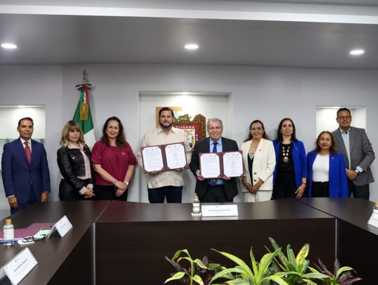 WhatsApp Image 2025-09-02 at 17.13.27