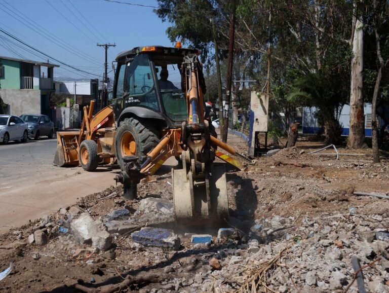 WhatsApp Image 2025-09-03 at 16.04.57