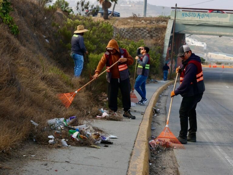 WhatsApp Image 2025-09-05 at 15.23.43 (1)