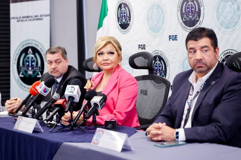 WhatsApp Image 2025-09-08 at 15.27.58