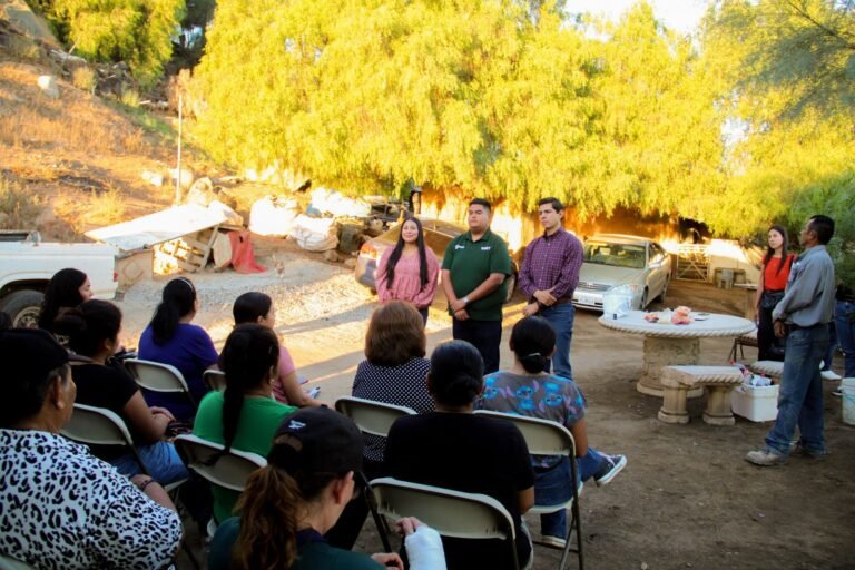 WhatsApp Image 2025-09-09 at 12.49.23 (1)