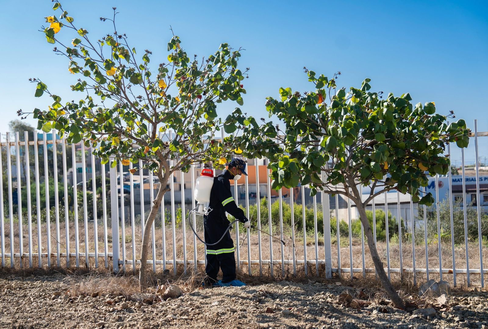 WhatsApp Image 2025-09-09 at 12.56.34 (4)