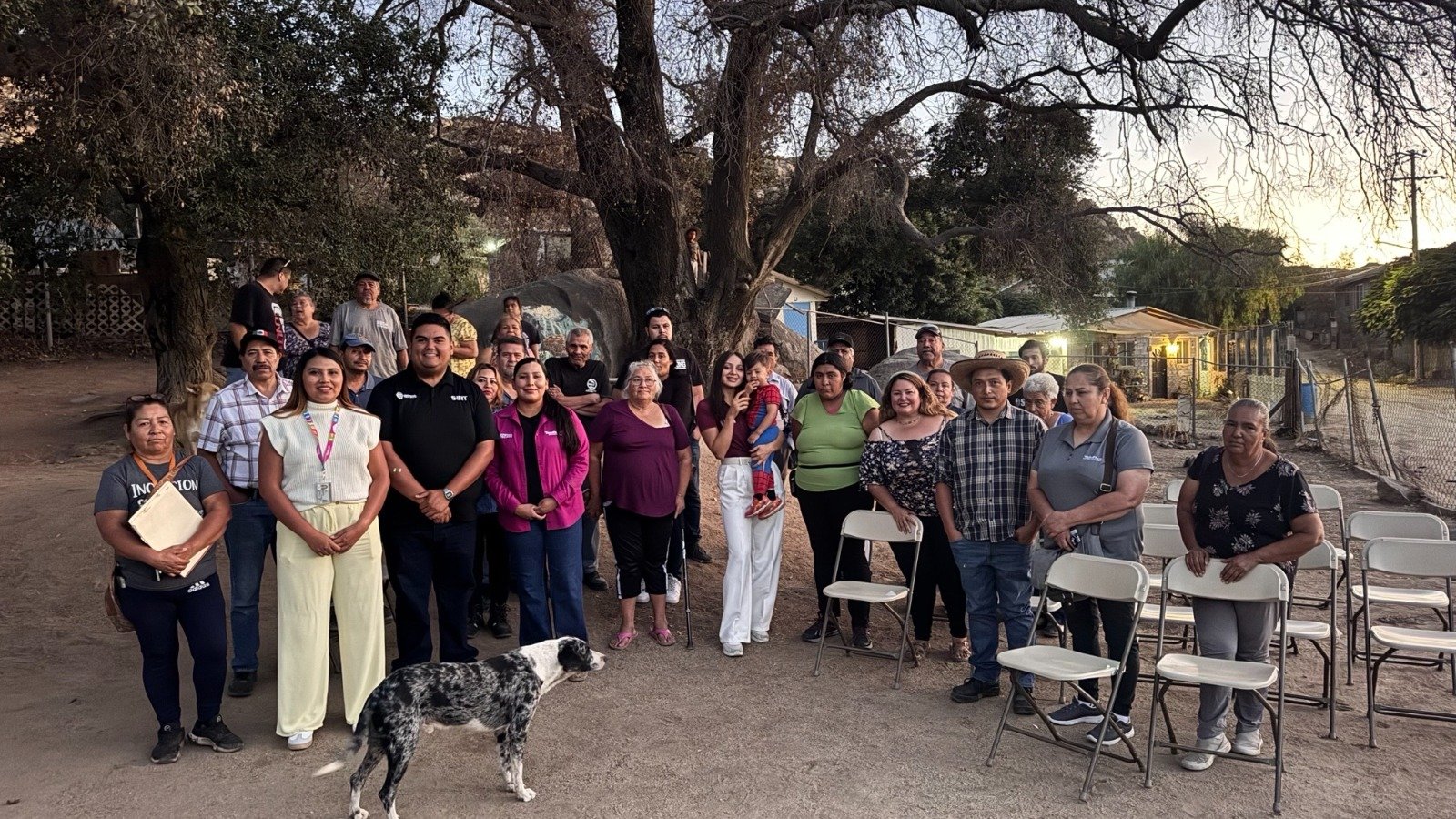 WhatsApp Image 2025-09-10 at 15.10.54