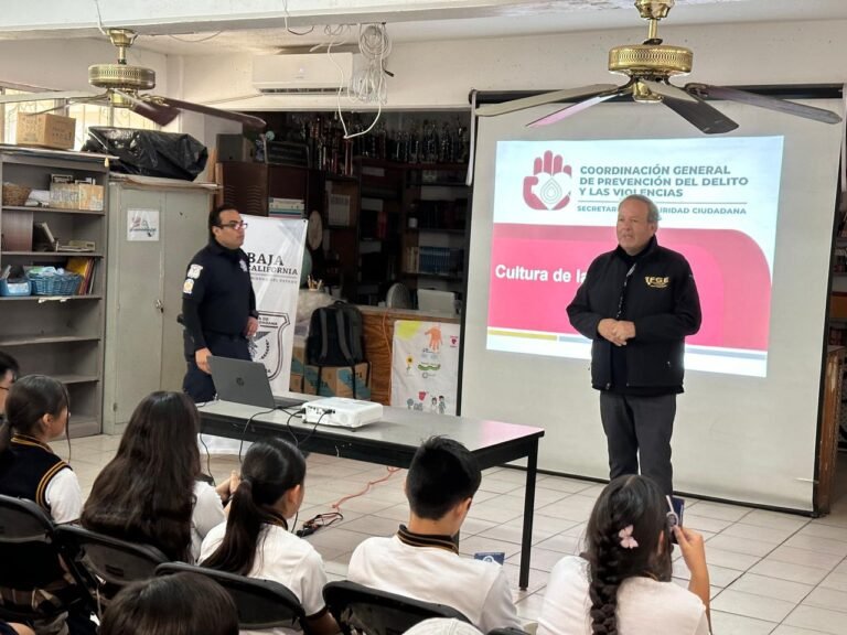 WhatsApp Image 2025-09-10 at 15.11.19