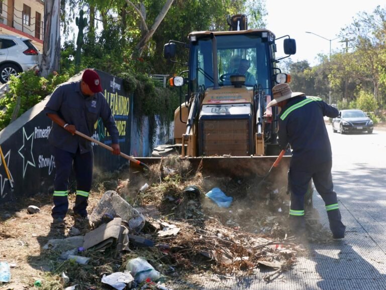 WhatsApp Image 2025-09-11 at 15.13.28