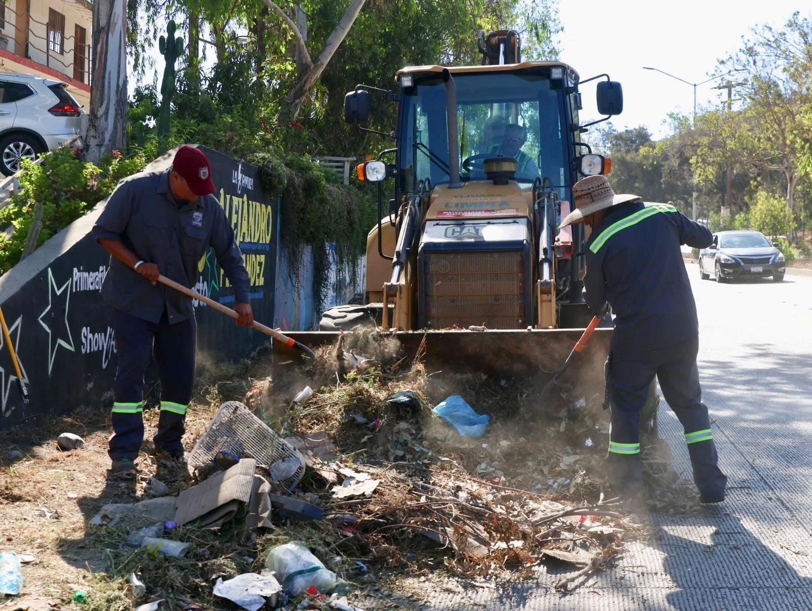 WhatsApp Image 2025-09-11 at 15.13.28