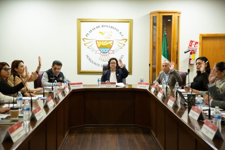 WhatsApp Image 2025-09-11 at 18.10.23