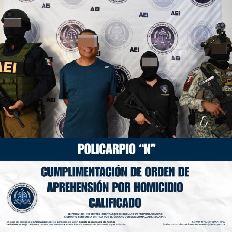 WhatsApp Image 2025-09-12 at 09.41.56