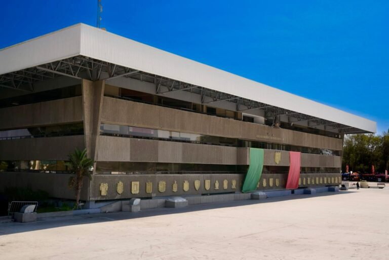 WhatsApp Image 2025-09-12 at 14.12.24