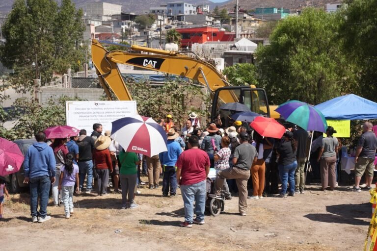 WhatsApp Image 2025-09-17 at 16.54.28