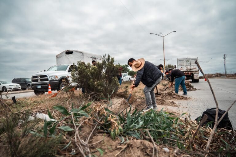 WhatsApp Image 2025-09-27 at 14.20.05 (2)