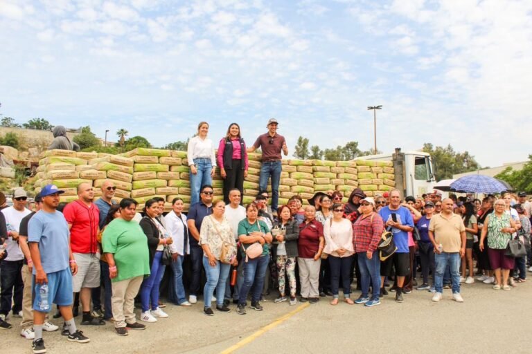 WhatsApp Image 2025-09-30 at 14.59.05 (2)