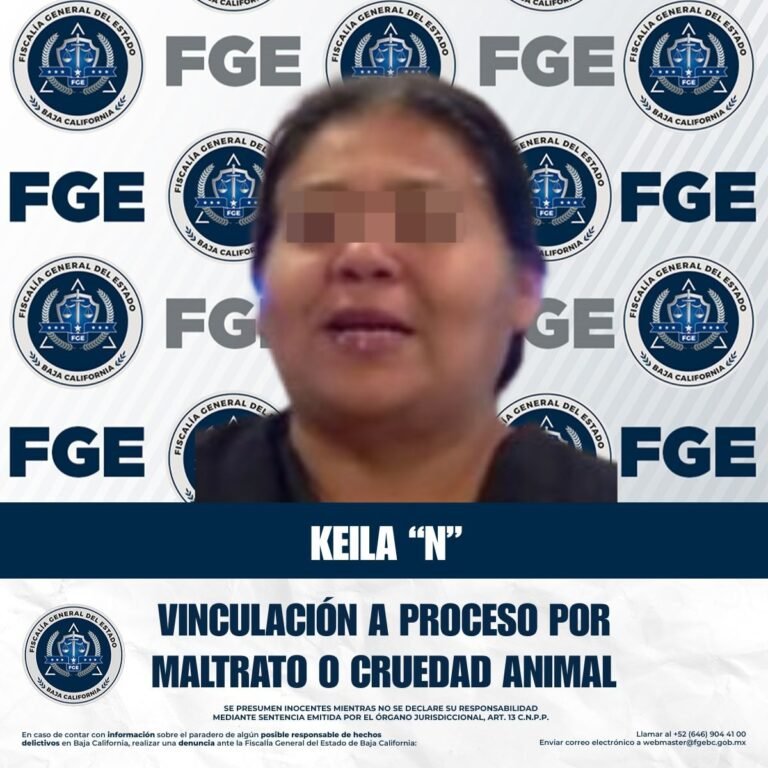 WhatsApp Image 2025-09-30 at 18.30.50