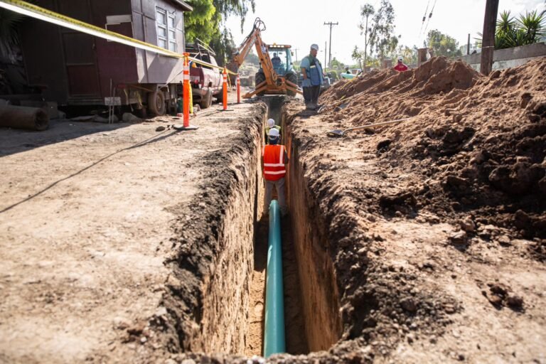 WhatsApp Image 2025-10-03 at 13.06.56