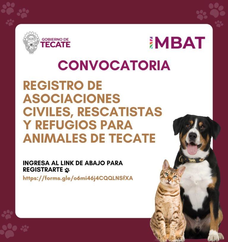 WhatsApp Image 2025-10-06 at 11.49.14