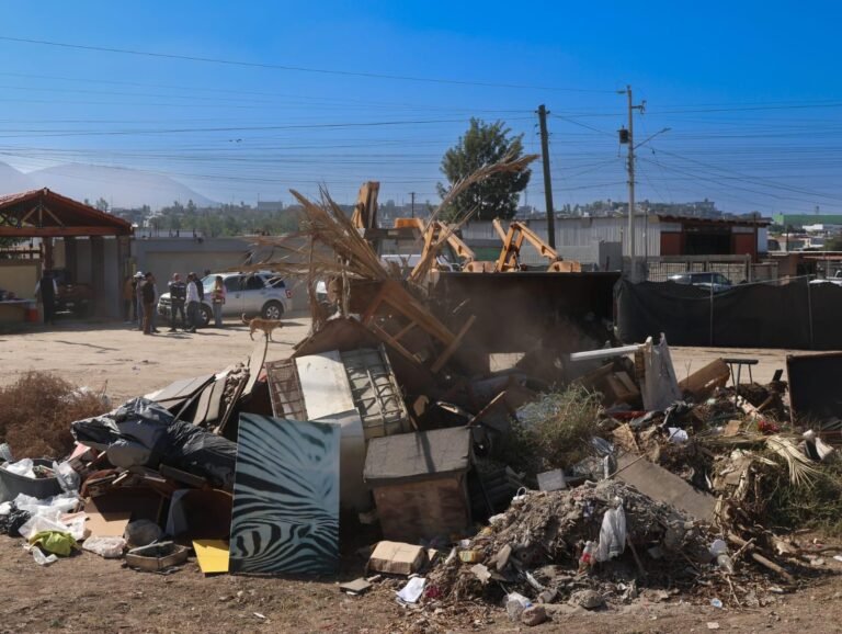 WhatsApp Image 2025-10-06 at 21.56.09