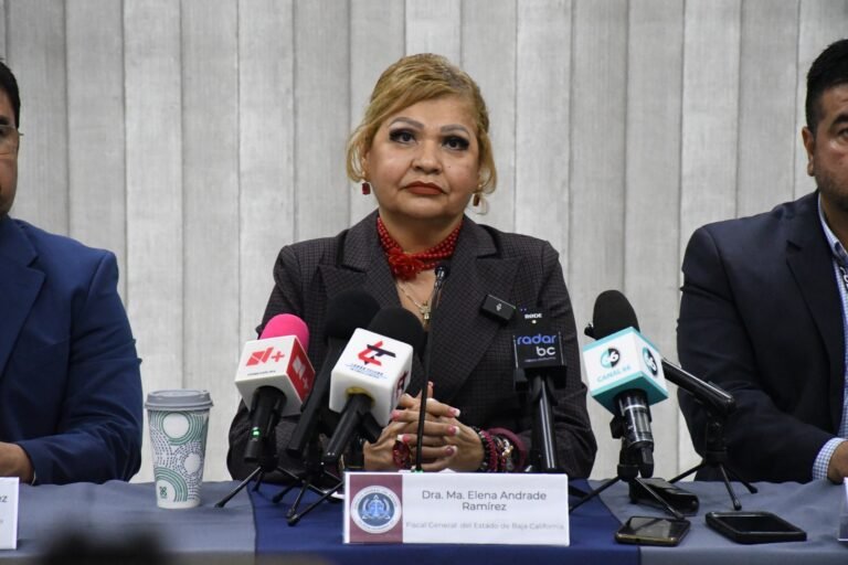 WhatsApp Image 2025-10-08 at 09.18.49