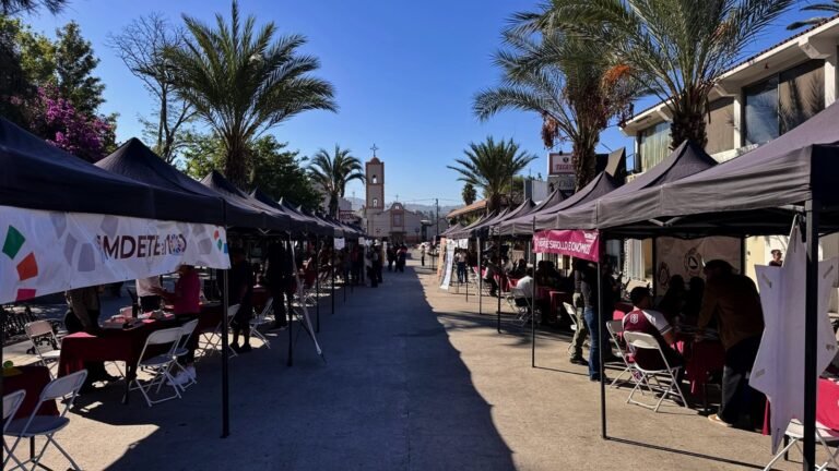 WhatsApp Image 2025-10-08 at 15.58.52 (1)