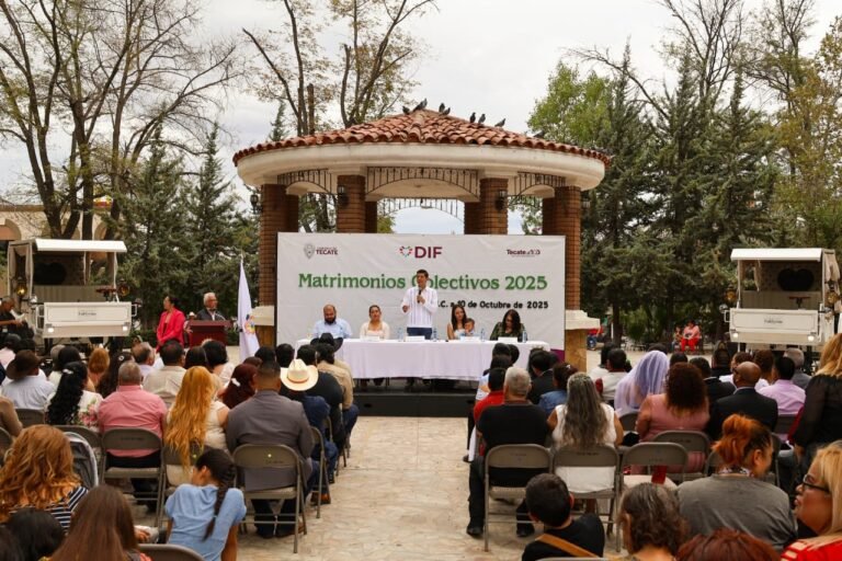 WhatsApp Image 2025-10-10 at 15.29.06 (2)