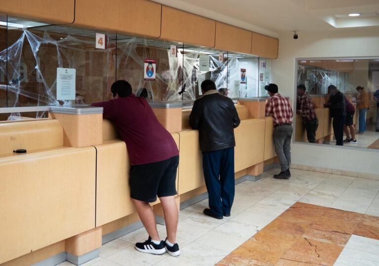 WhatsApp Image 2025-10-10 at 15.30.43