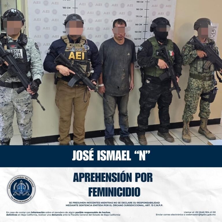 WhatsApp Image 2025-10-12 at 10.12.42