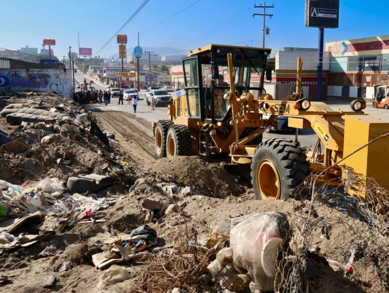 WhatsApp Image 2025-10-12 at 18.27.12