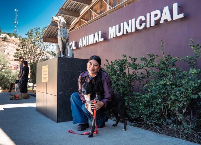 WhatsApp Image 2025-10-17 at 12.00.26 (1)