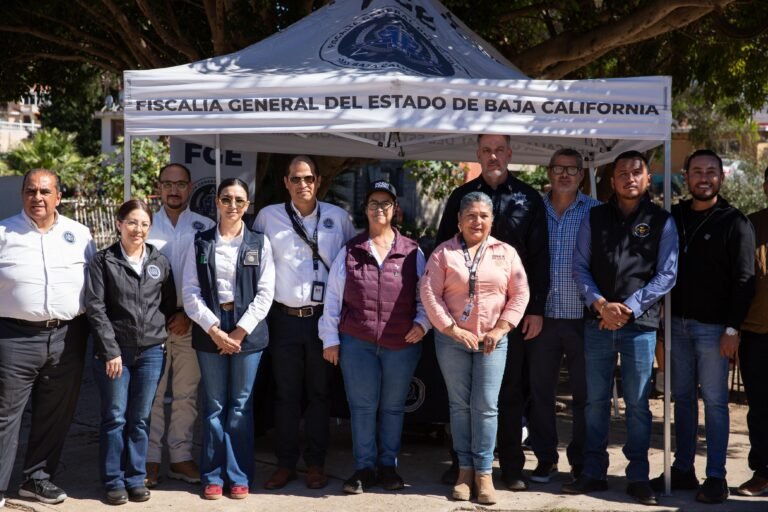 WhatsApp Image 2025-10-18 at 14.24.49