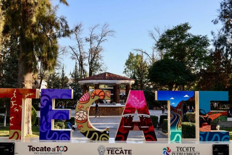 WhatsApp Image 2025-10-19 at 12.53.01