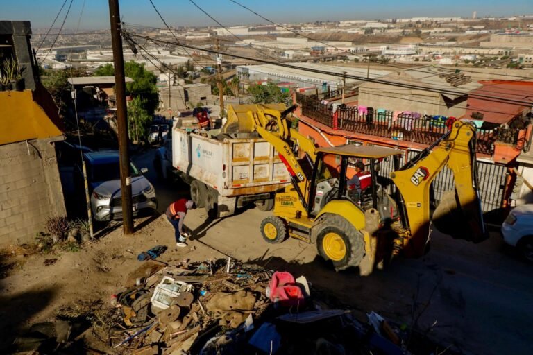 WhatsApp Image 2025-10-19 at 18.58.08