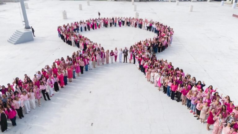 WhatsApp Image 2025-10-21 at 12.34.31