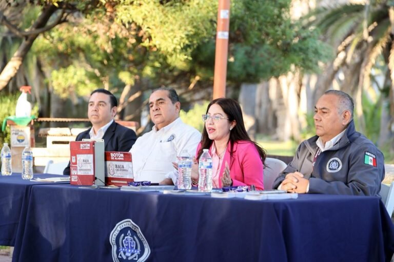 WhatsApp Image 2025-10-24 at 15.42.35